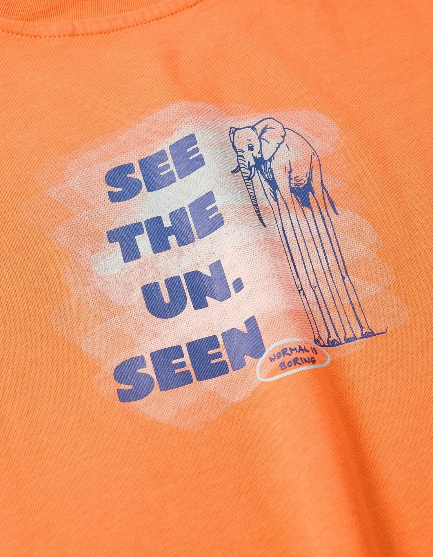 imgi_21_31078044012-3